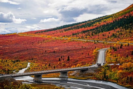 Denali National Park and Preserve