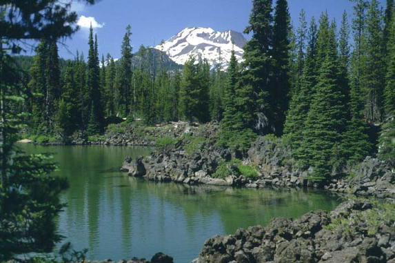 Deschutes National Forest