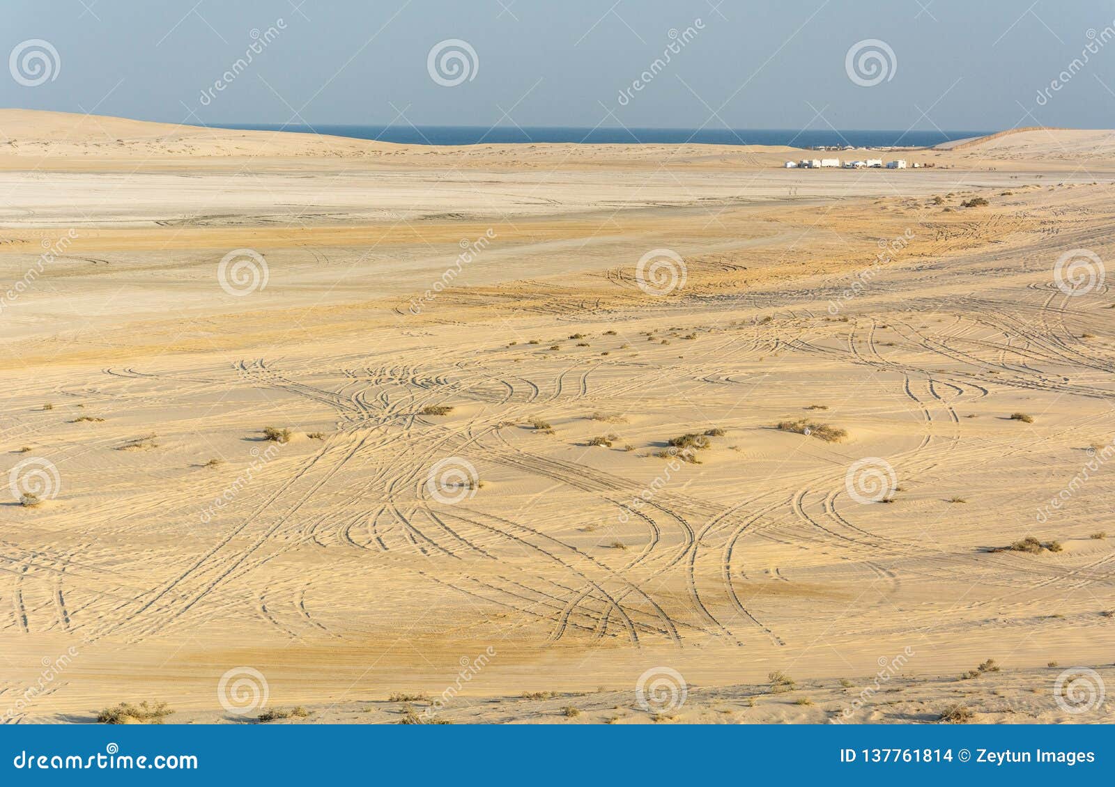 Desert Horse Riding