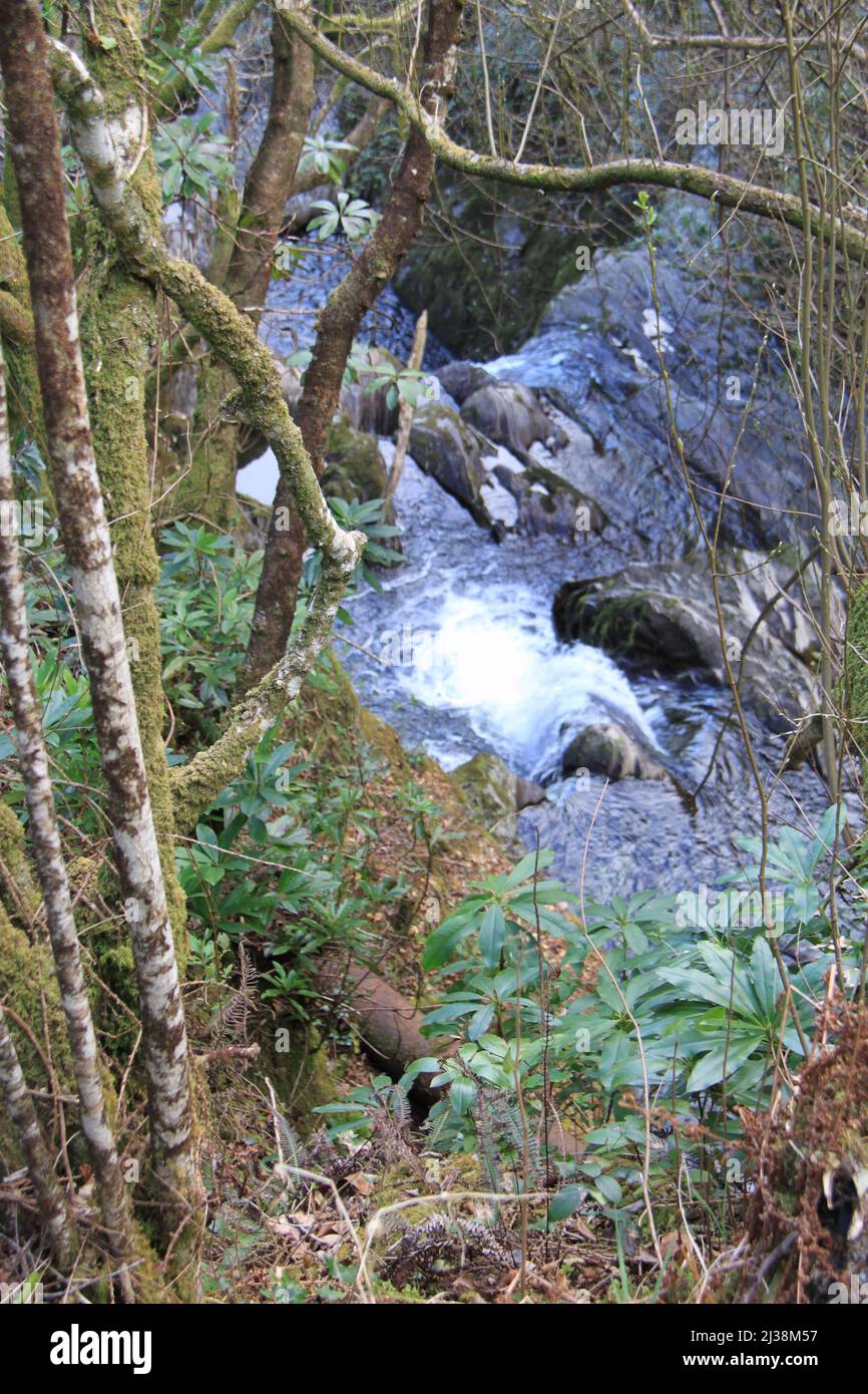 Devil's Bridge Falls