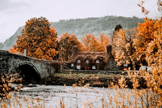 Devil's Bridge Falls