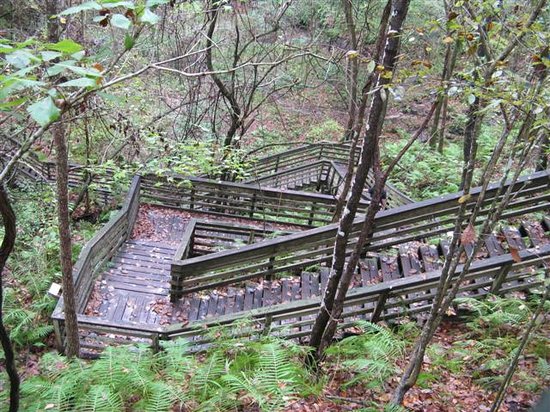 Devil's Millhopper Geological State Park