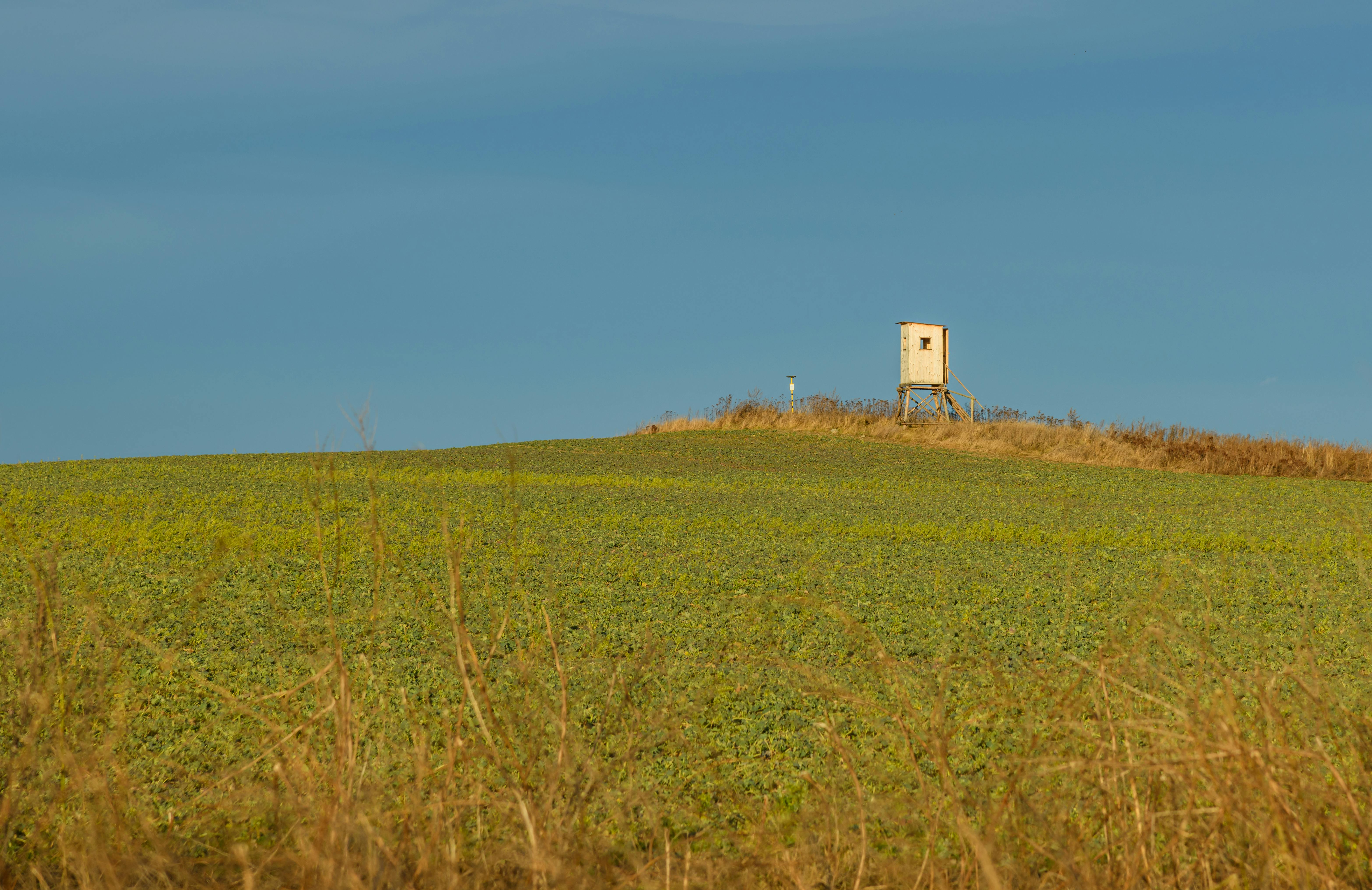 Diana Observation Tower