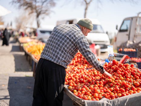 Dinar Friday Market (Pazar)