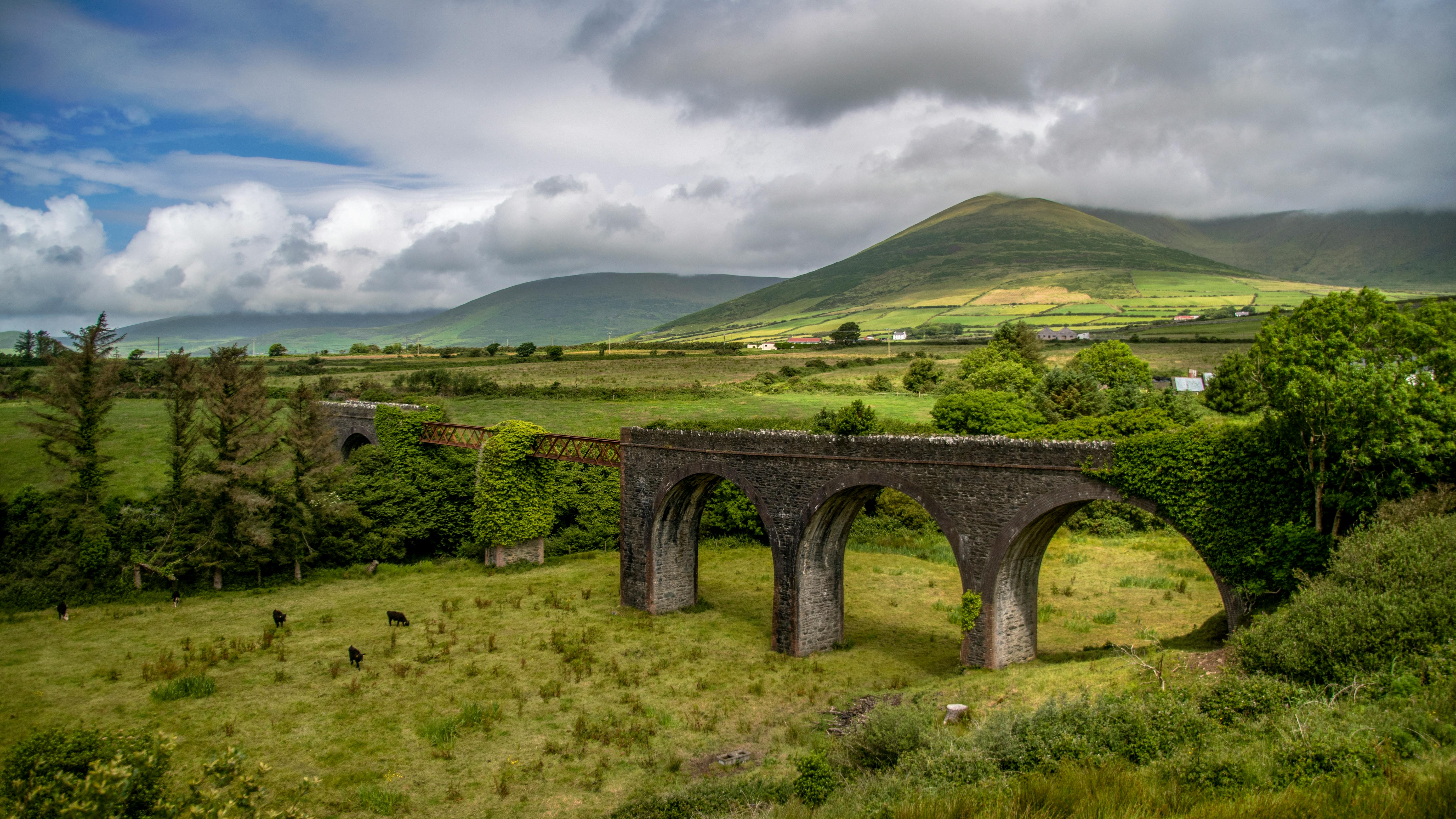 Dingle Distillery