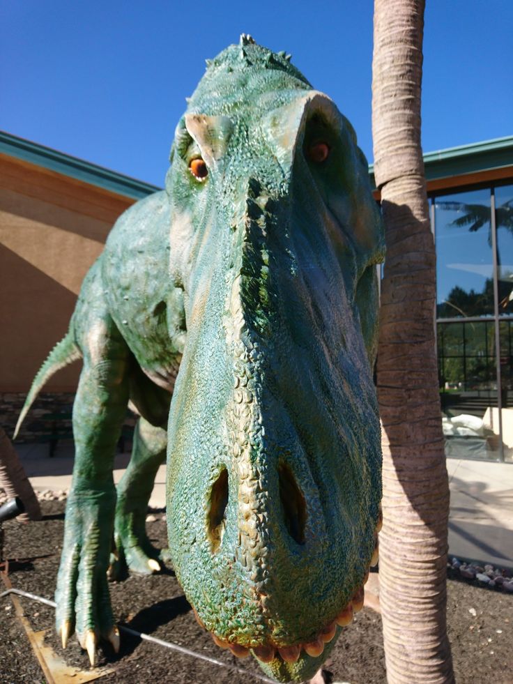 Dinosaur Resource Center