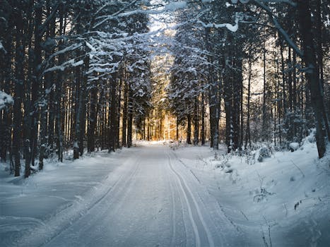 Dobratsch Nature Park