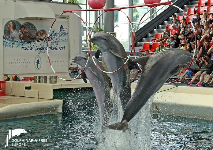 Dolphinarium Varna