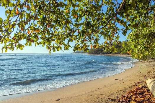 Dominical Beach