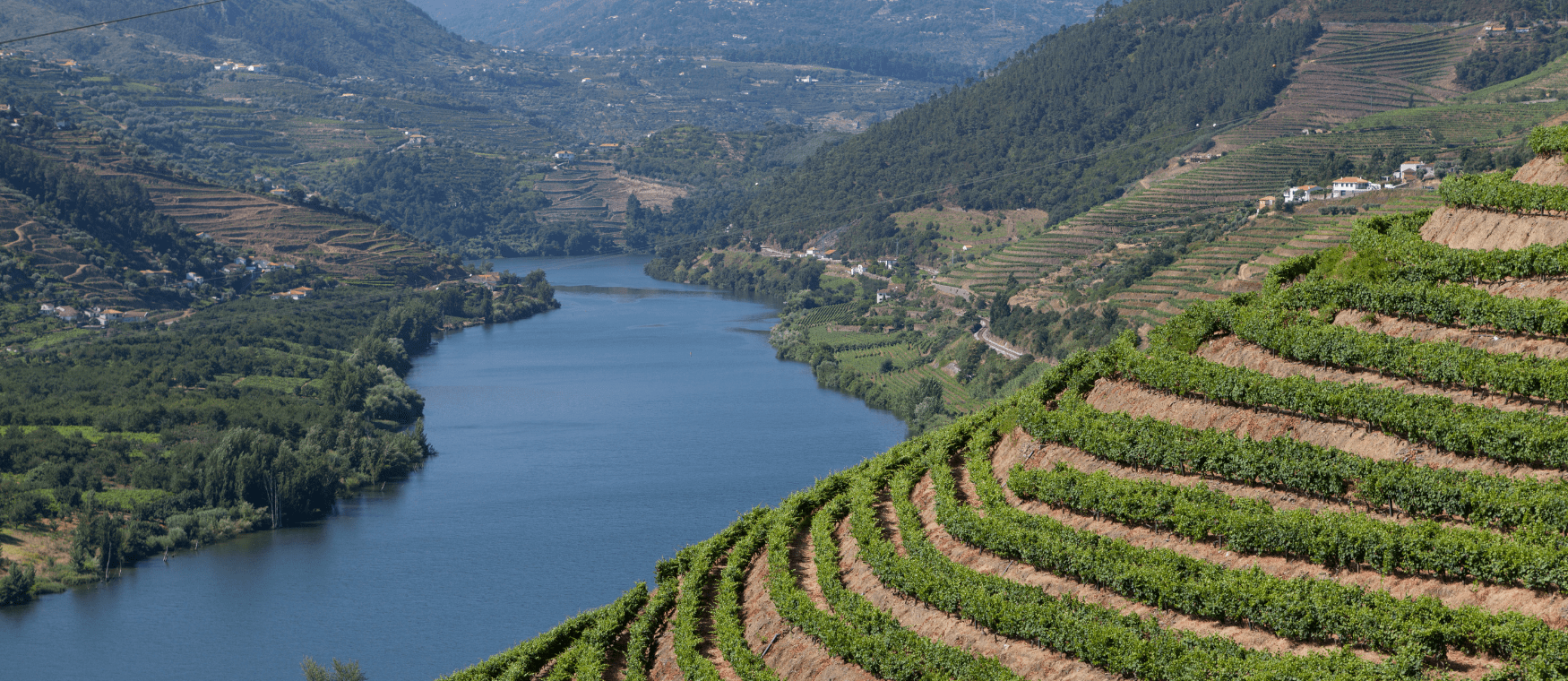 Douro Valley (day trip)