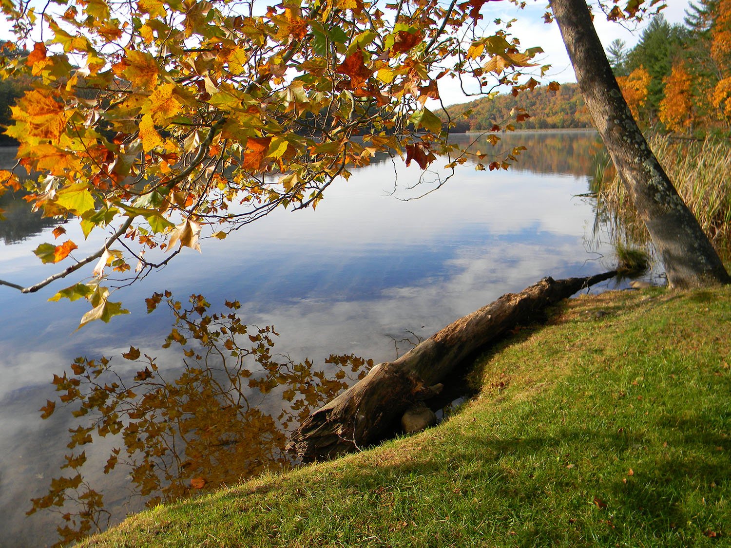 Douthat State Park