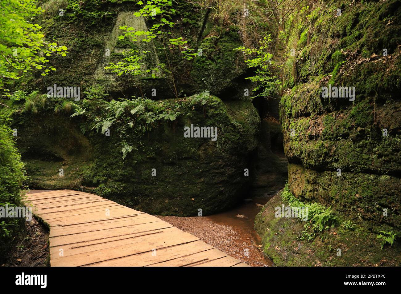 Drachenschlucht (Dragon Gorge)