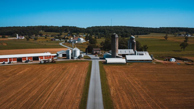 Dry Mill Road Farm