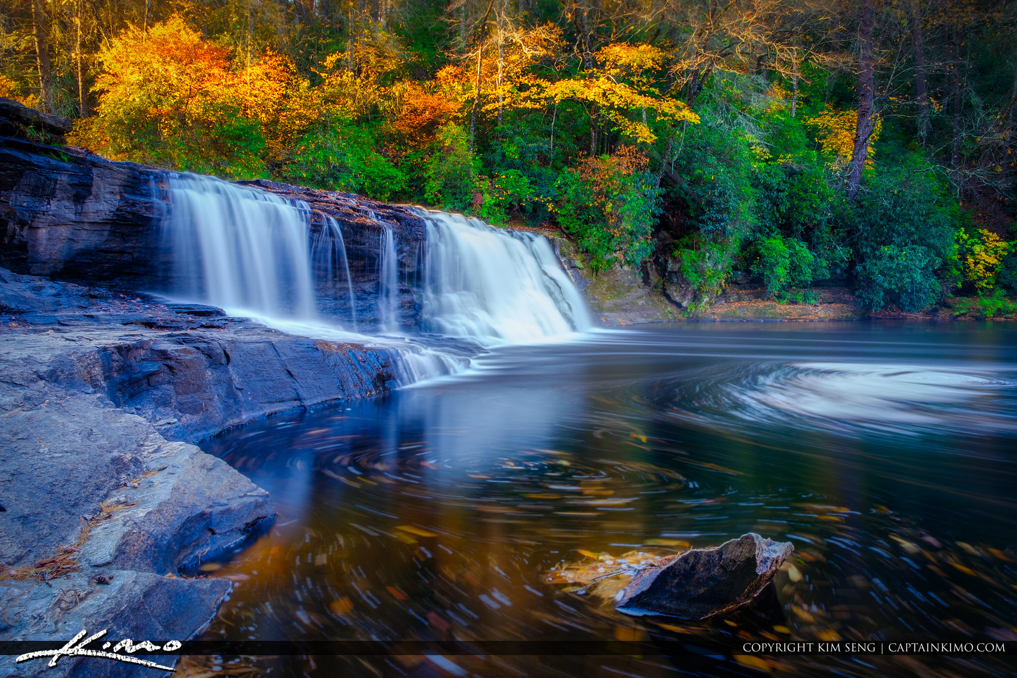 DuPont State Recreational Forest