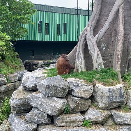 Dublin Zoo