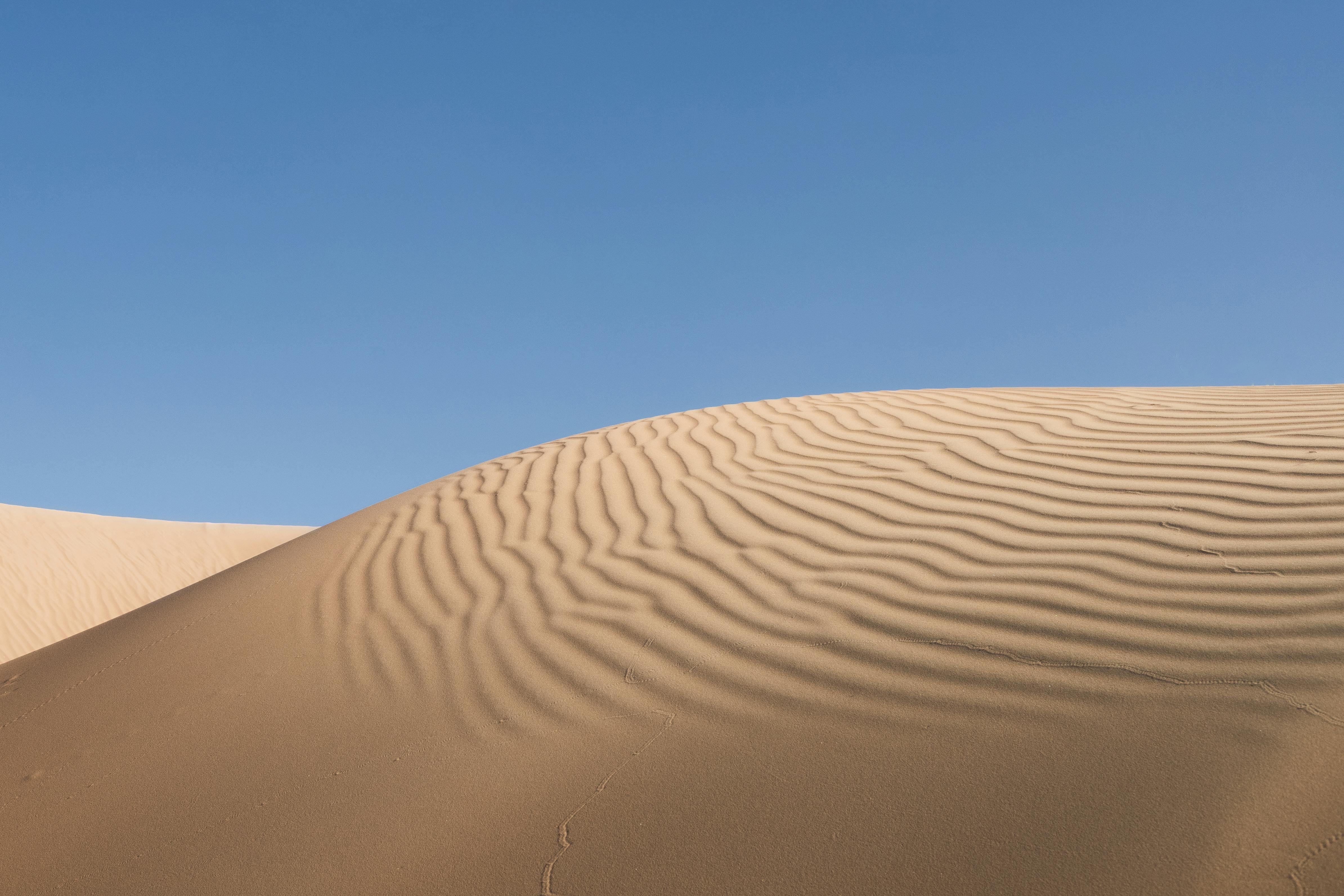 Dune Bashing