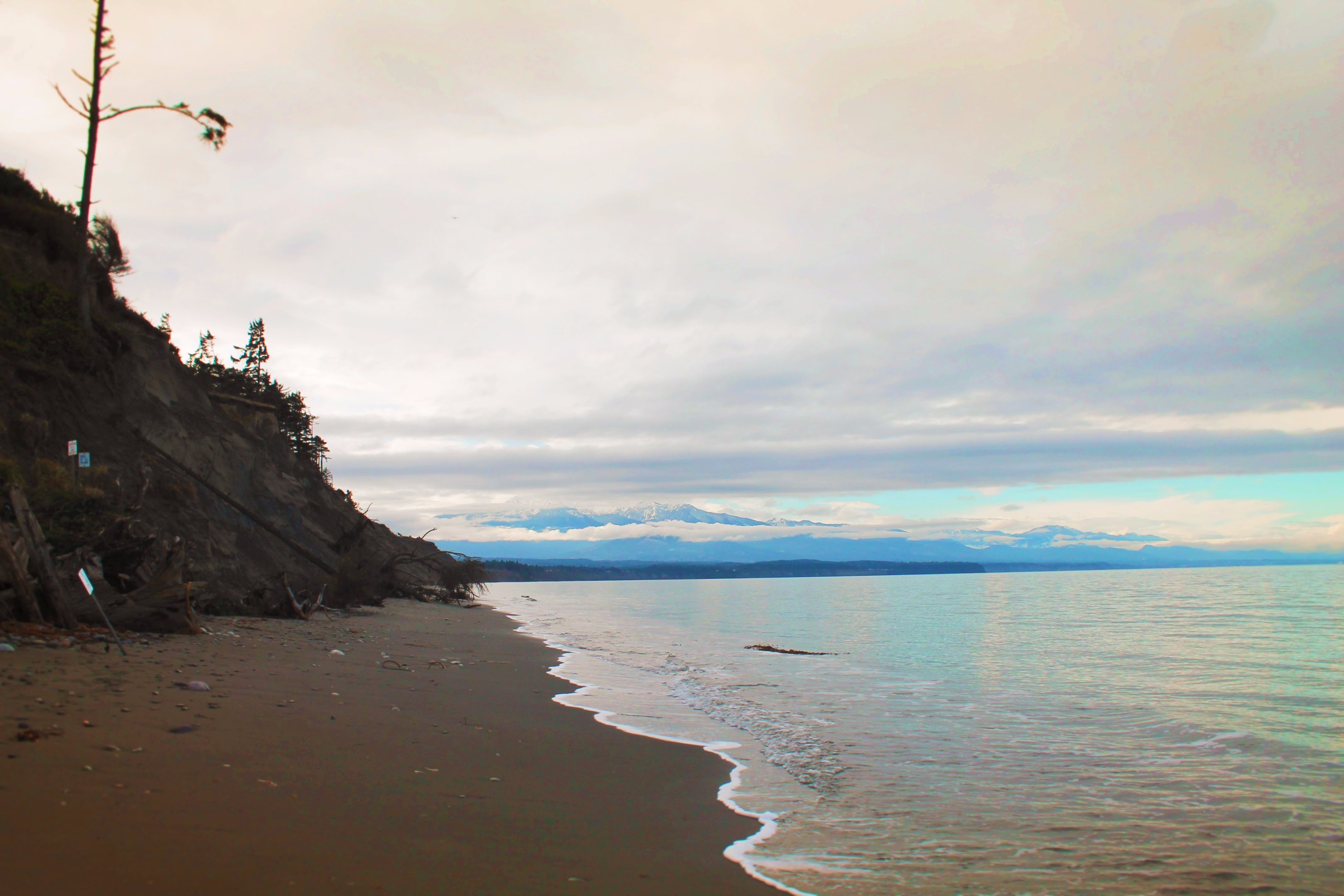 Dungeness Spit National Wildlife Refuge