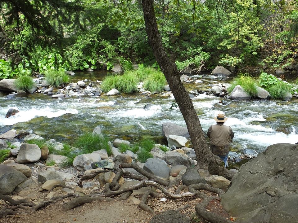 Dunsmuir Botanical Gardens