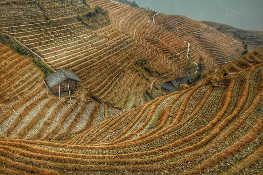 Duoyishu Rice Terraces