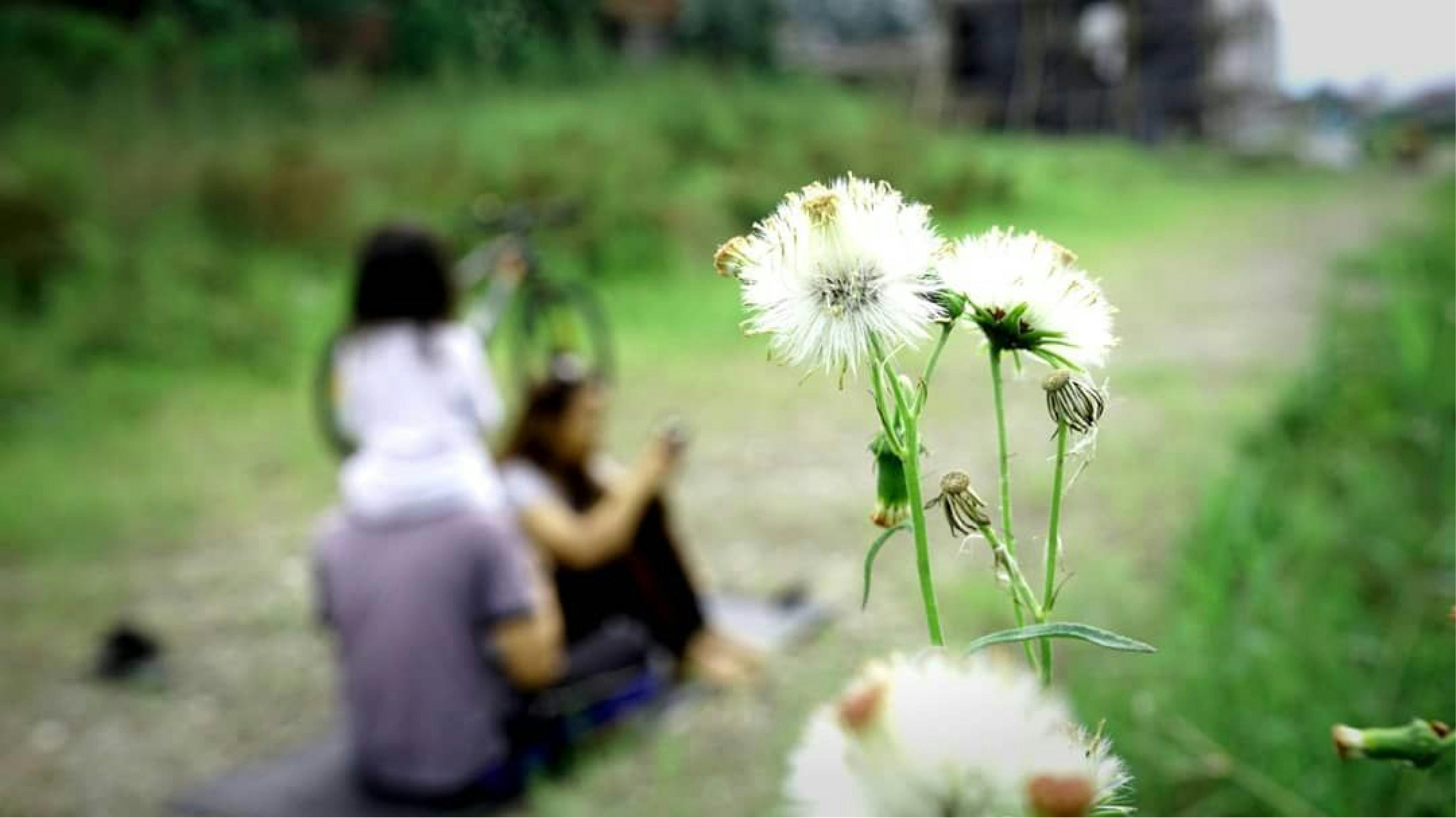 Dusun Bambu Family Leisure Park