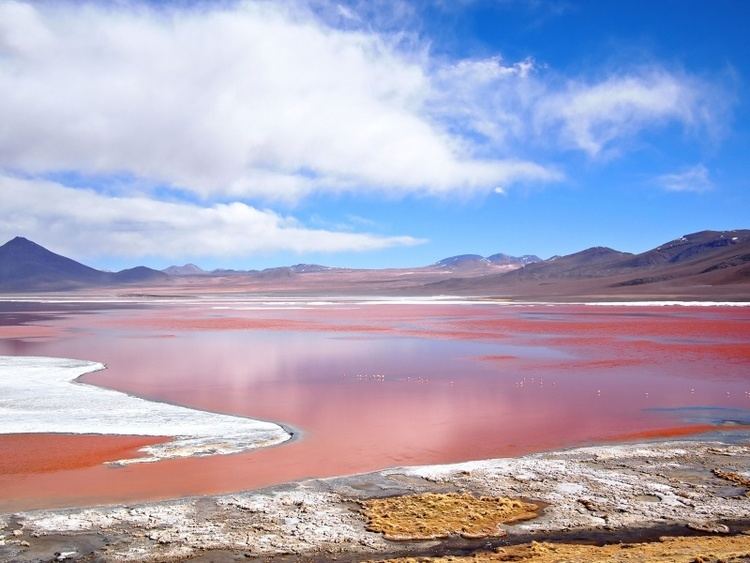 Eduardo Avaroa Andean Fauna National Reserve