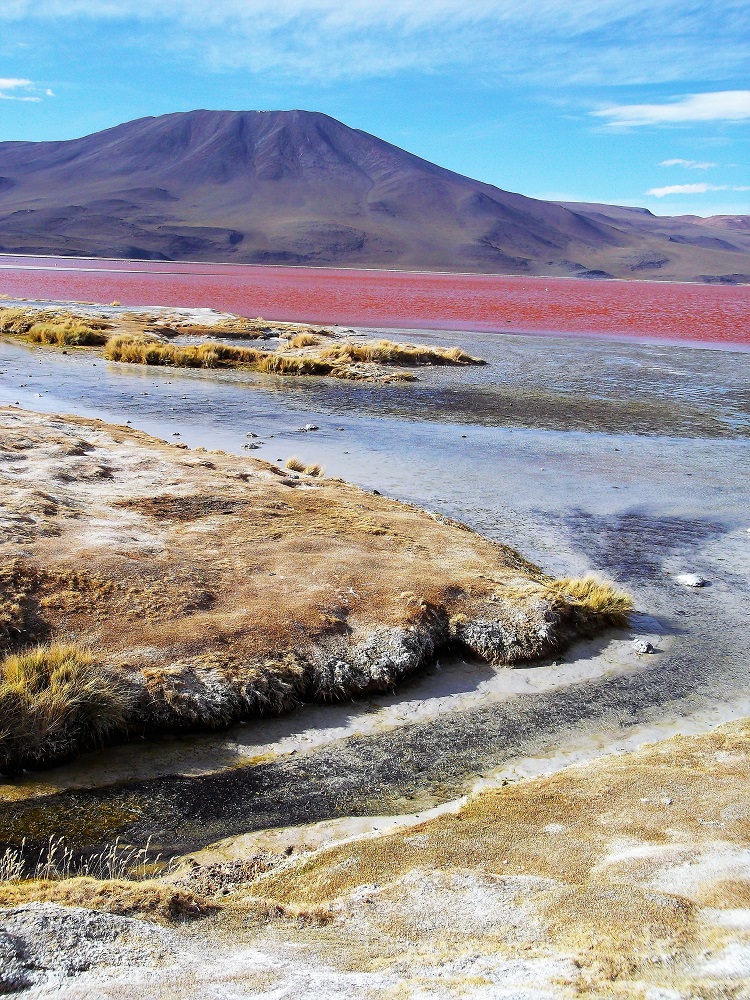 Eduardo Avaroa National Reserve