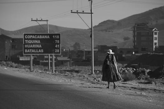 El Alto Market