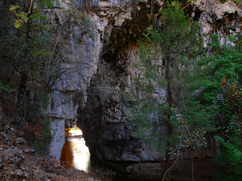 El Arcotete Natural Reserve