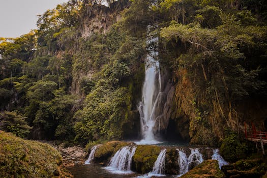 El Vizcaíno Biosphere Reserve