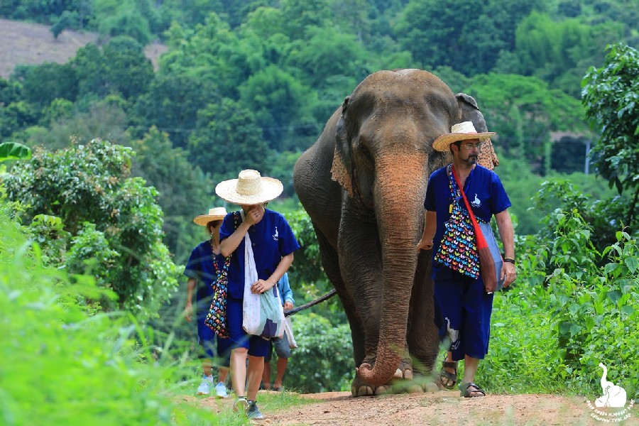 Elephant Nature Park