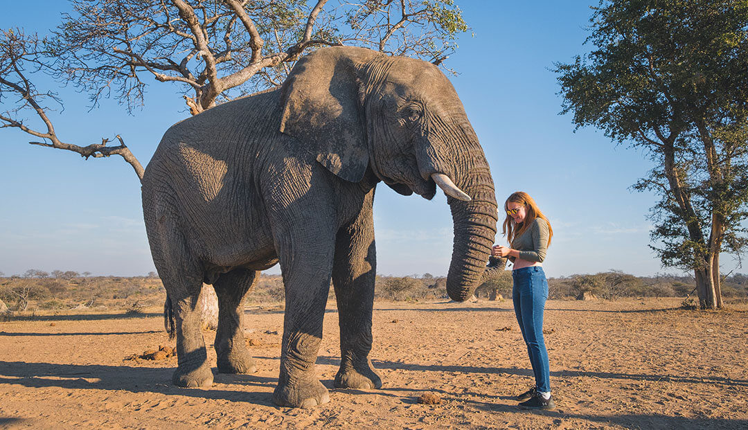 Elephant Sanctuary