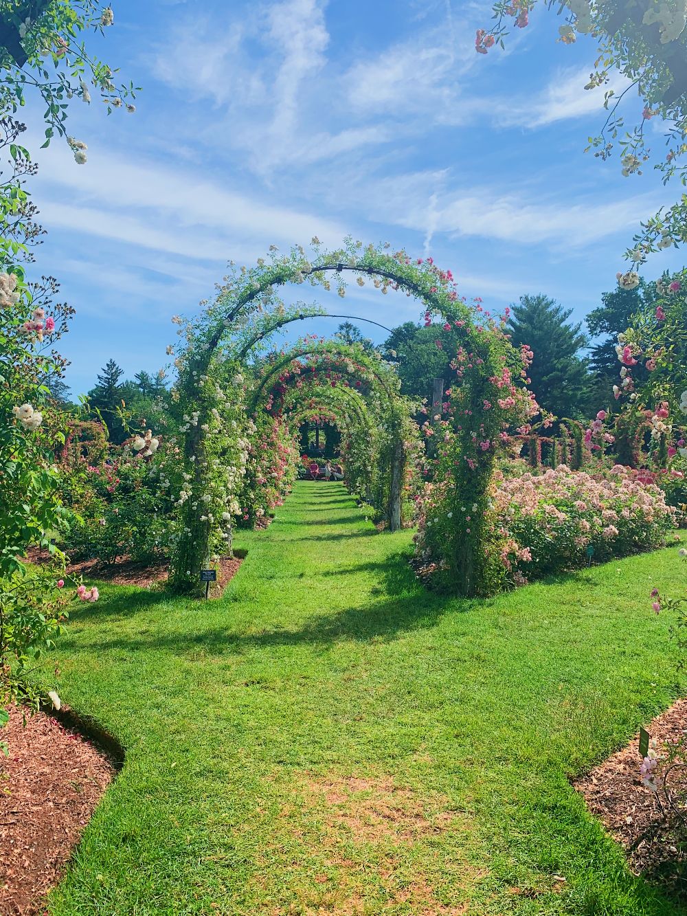 Elizabeth Park Rose Garden