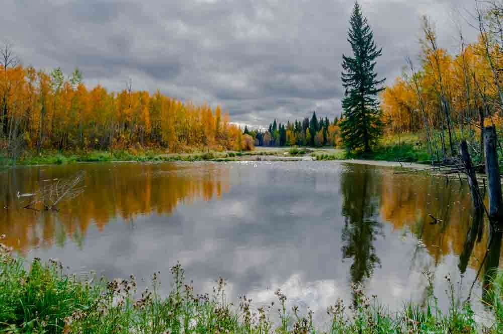 Elk Island National Park