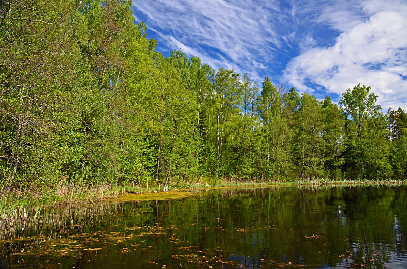 Endla Nature Reserve