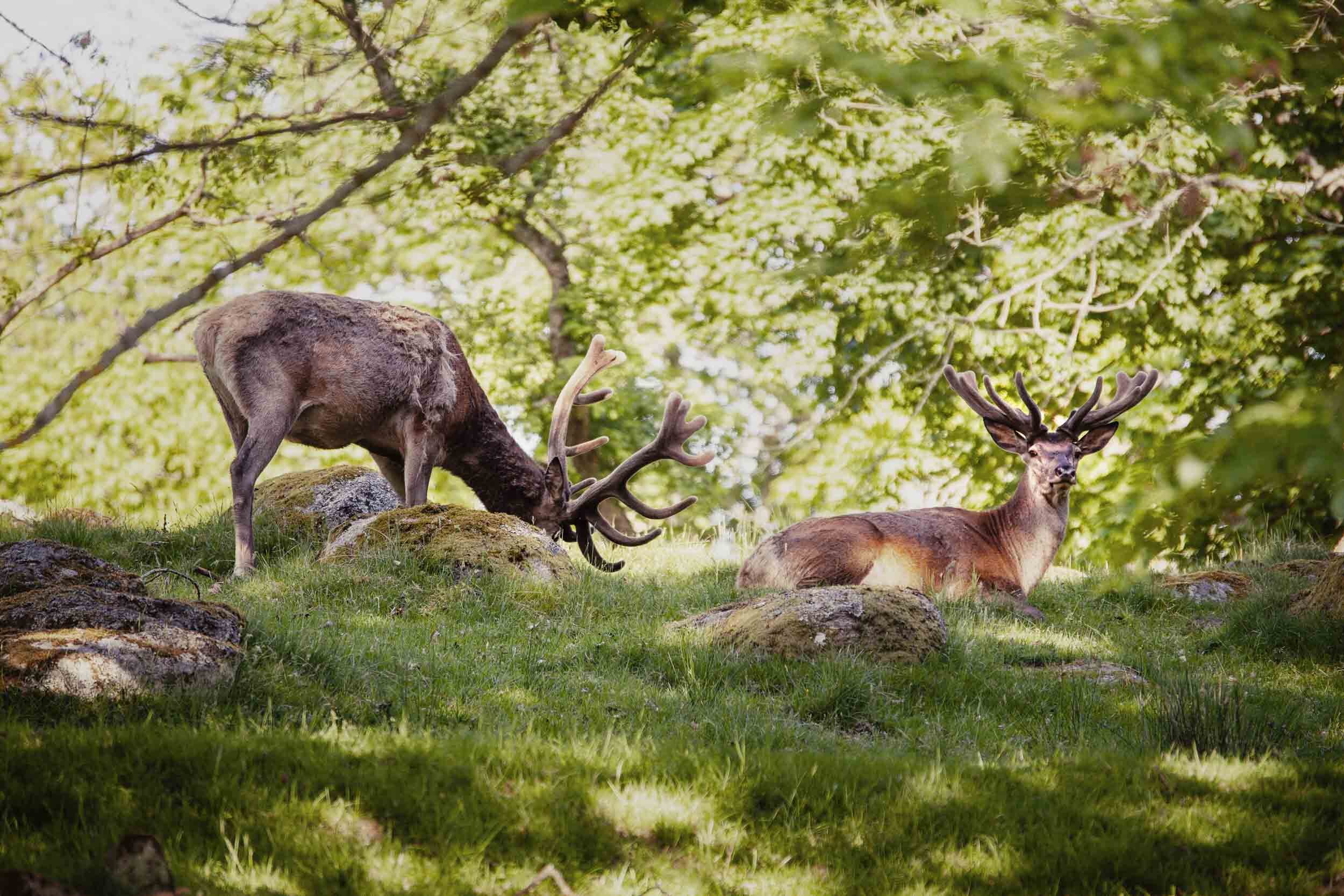 Eriksberg Nature Reserve