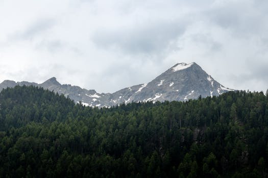 Erlaufsee