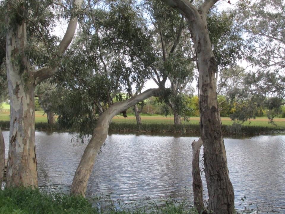 Ess Lagoon Wildlife Reserve