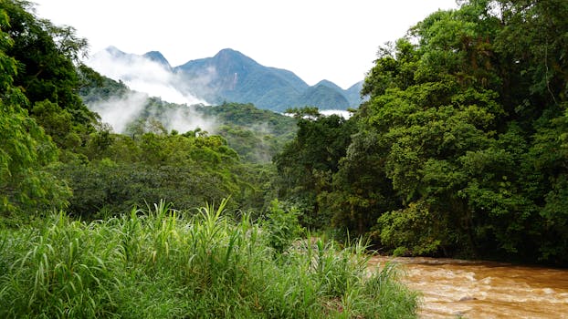 Estrada da Graciosa