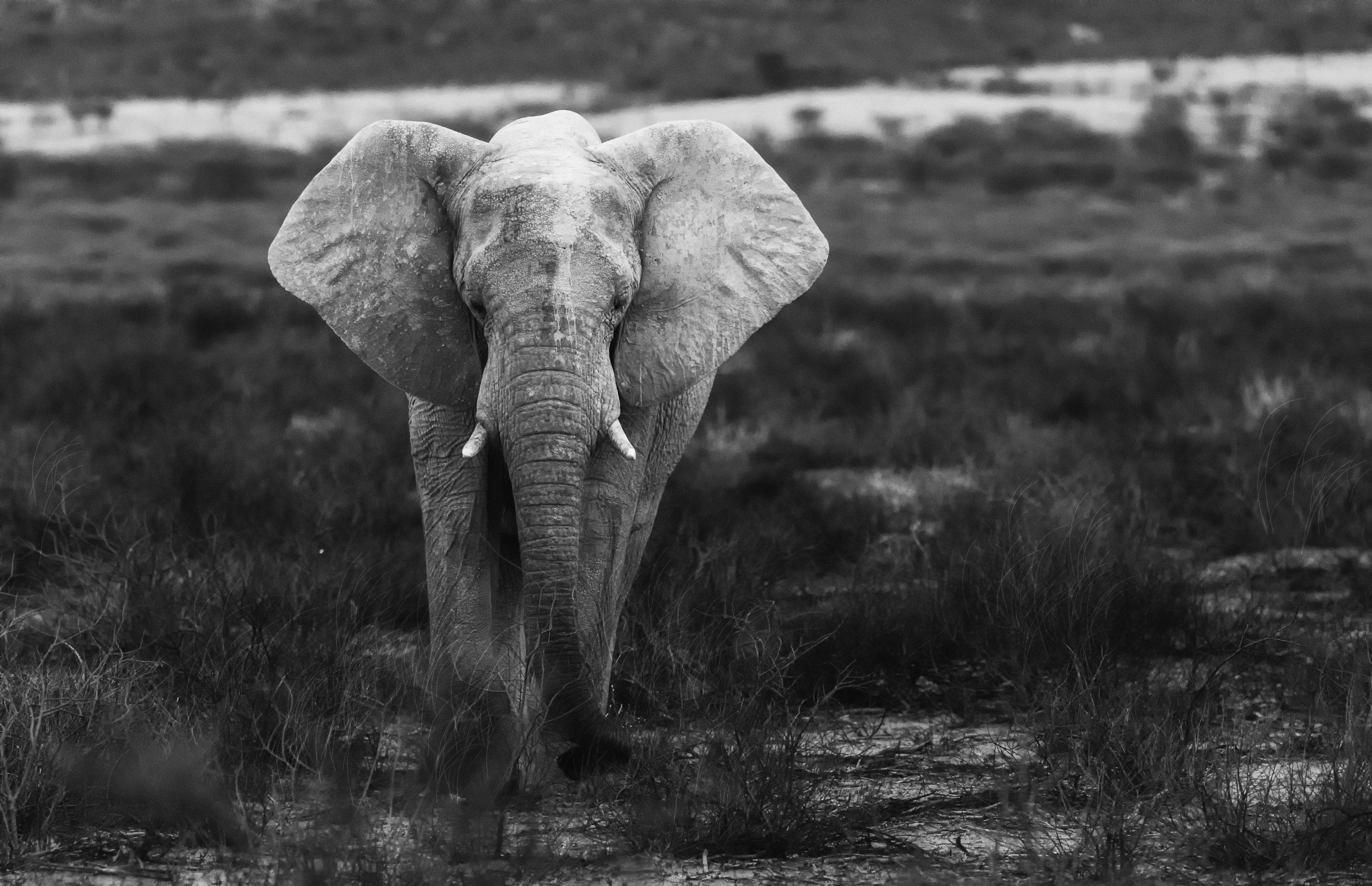 Etosha Lookout Point