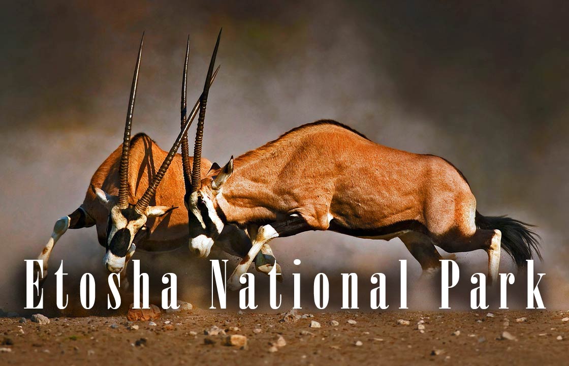 Etosha National Park