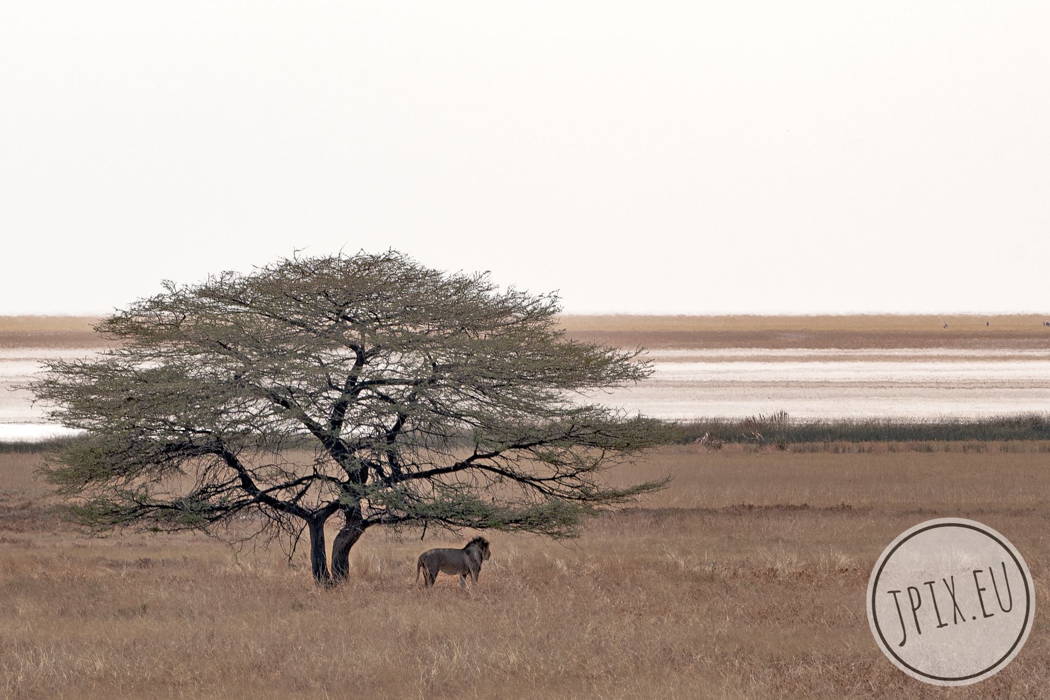 Etosha National Park