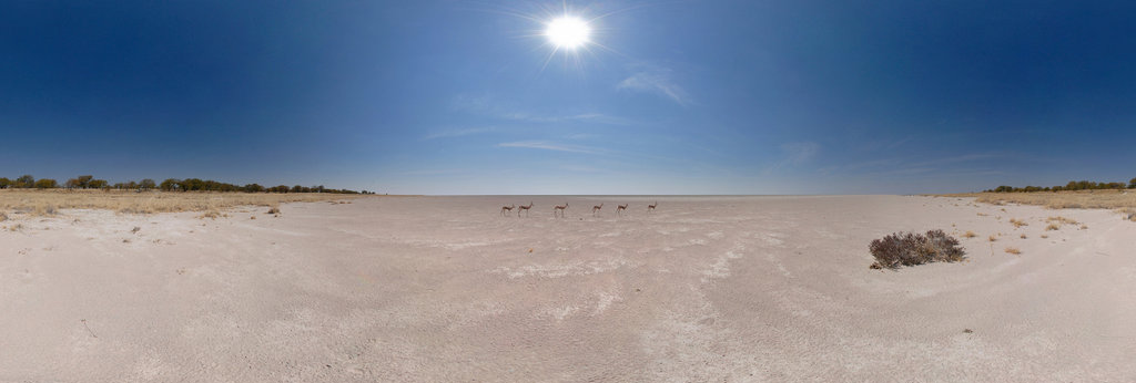 Etosha Pan