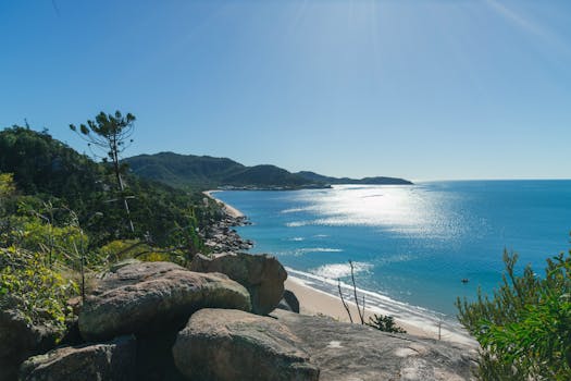 Ettalong Beach Markets