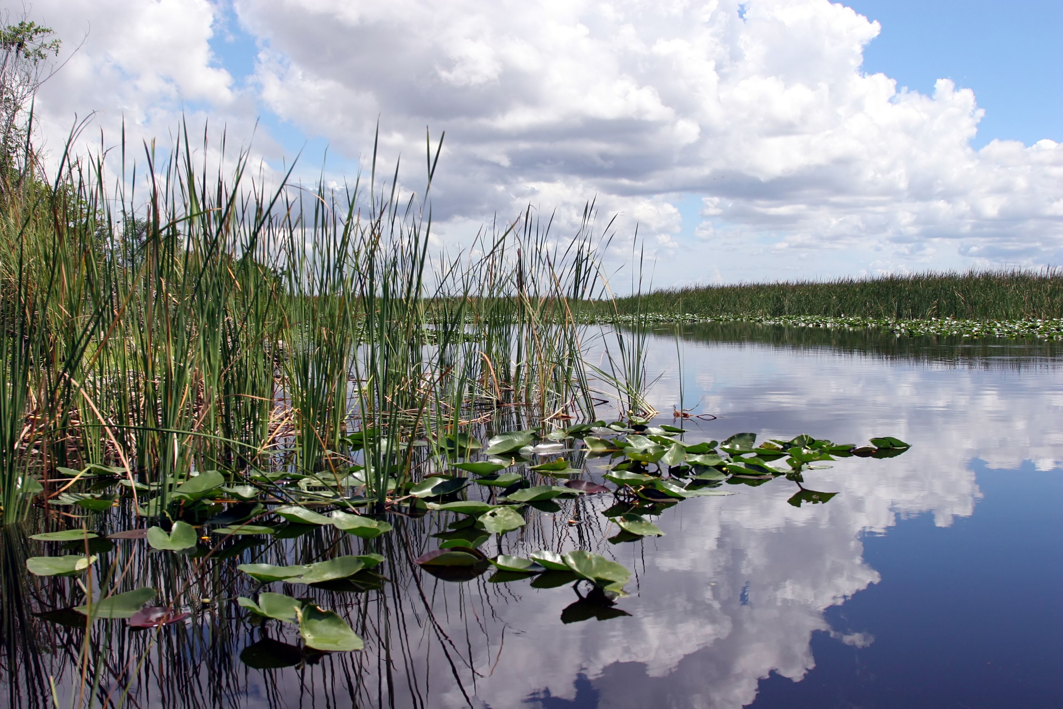 Everglades National Park at Miami, United States