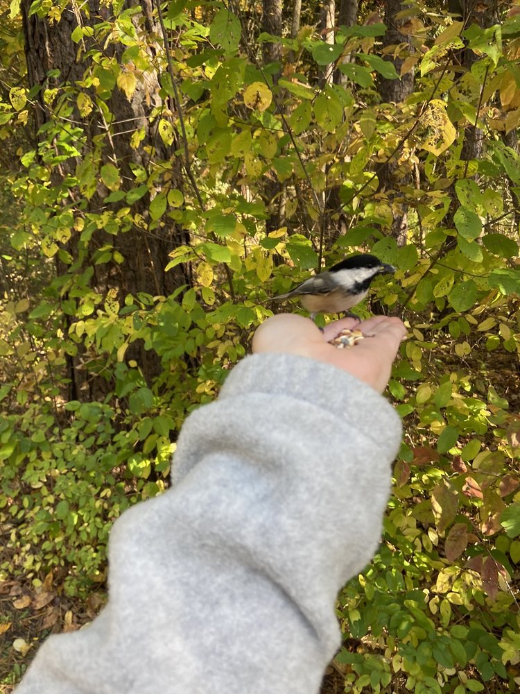 F.A. Seiberling Nature Realm