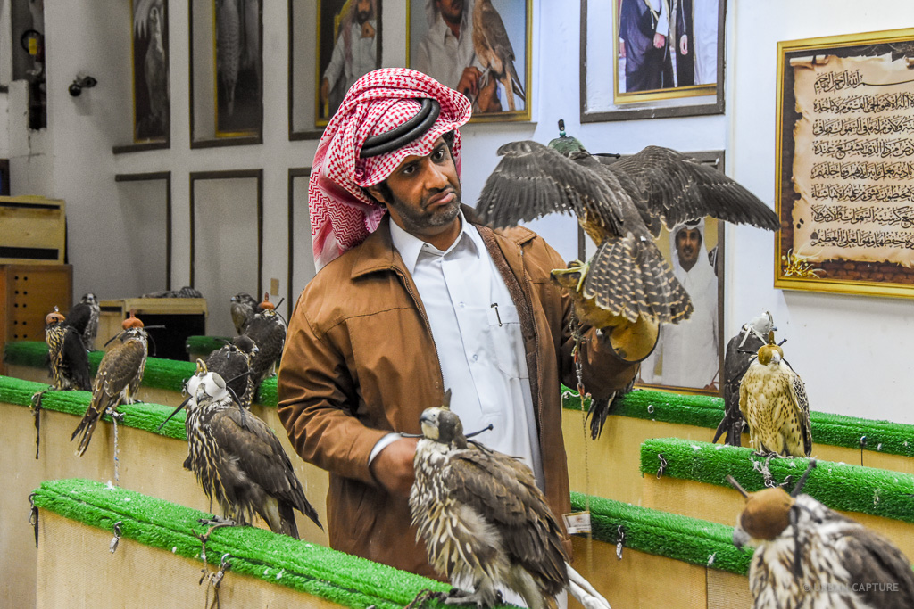 Falcon Souq