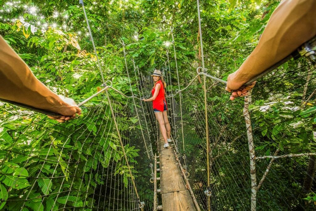 Falealupo Canopy Walk