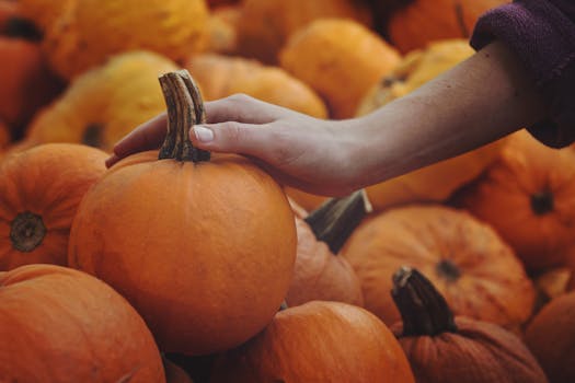 Farmers' Market