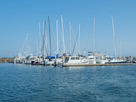 Feiro Marine Life Center