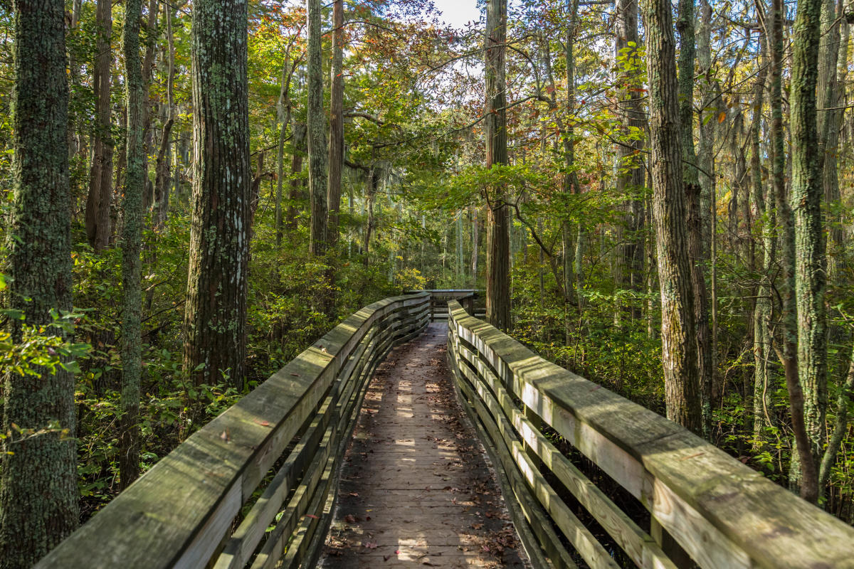 First Landing State Park